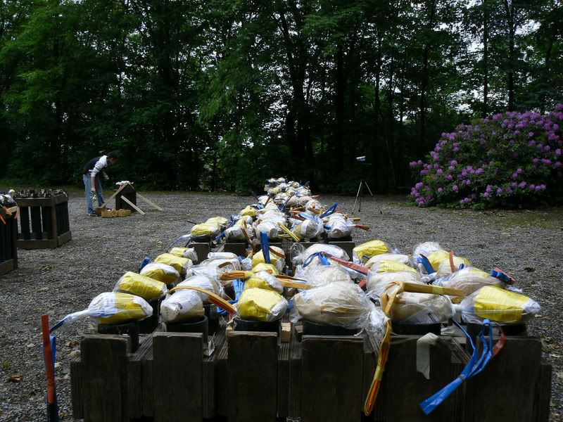 [img width=800 height=600]http://i31.photobucket.com/albums/c351/fireworkmaster/P1040798.jpg[/img]