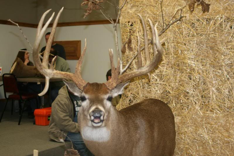 AntlerTalk Deer Classic Show HUNTING INDIANA