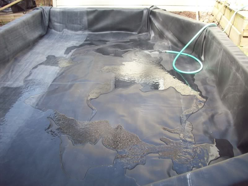 raised pond Garden Pond Forums