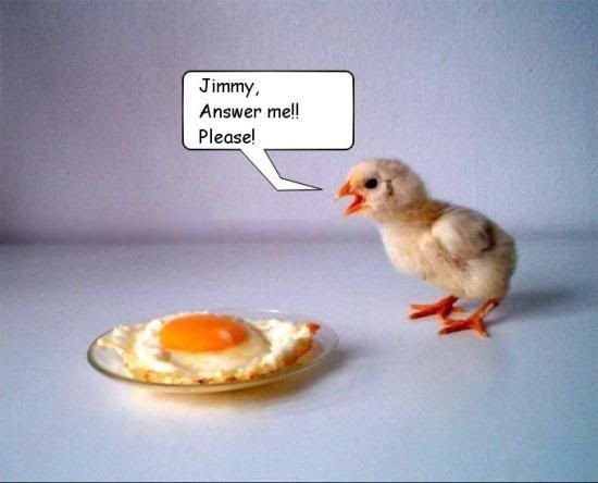 20051105_egg_jimmy_answer_me_please