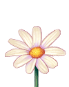 Daisy.gif