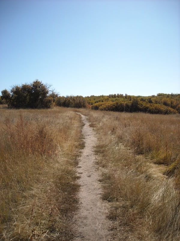 DSCN1160.jpg