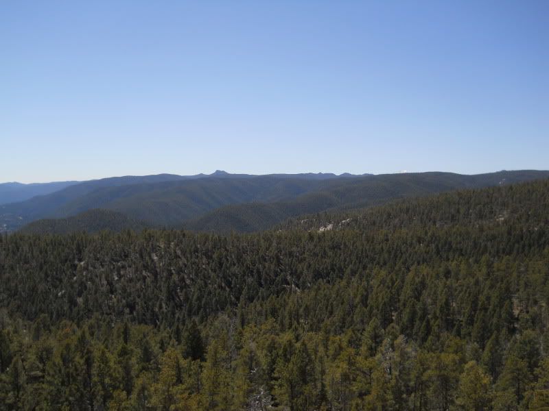DSCN3576.jpg