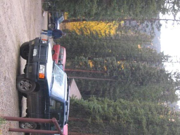 IMG_0521.jpg