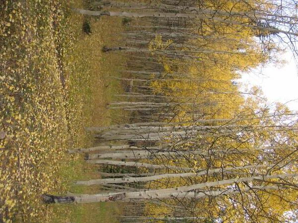 IMG_0531.jpg