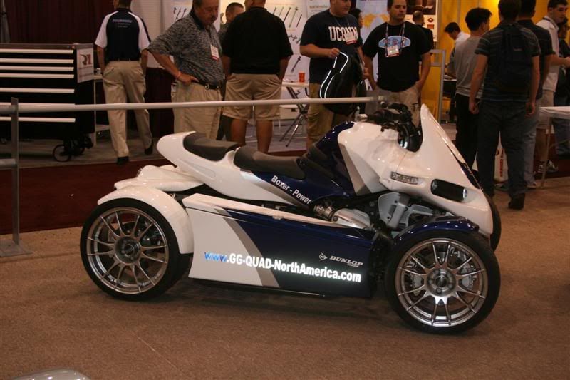 IMG_6594Medium.jpg