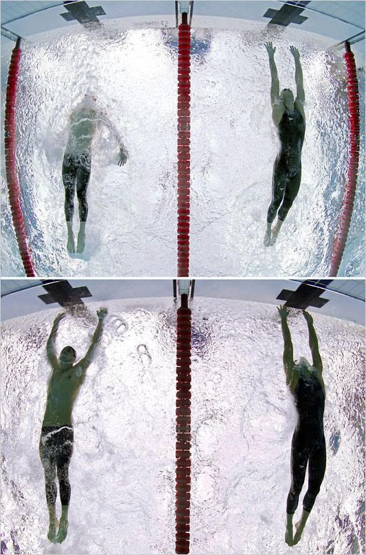 Phelps Mariposa