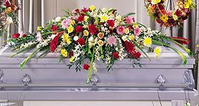 Photobucket - Video and Image Hosting