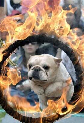 Photo Sharing and Video Hosting at Photobucket