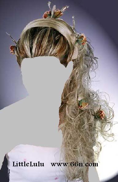 تسريحات شعر العروس hair16.jpg