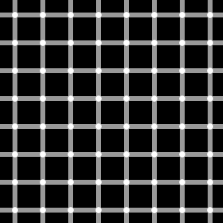 320px-Grid_illusionsvg.png