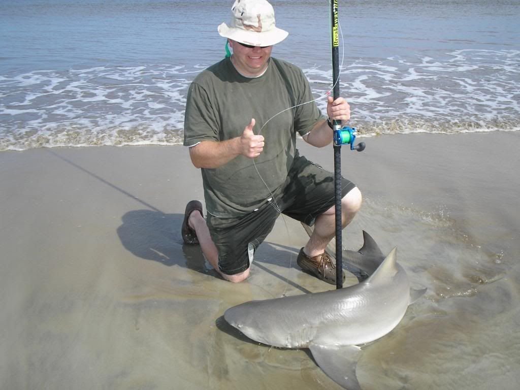 CAUGHT ON CAMERA: Massive shark feeding on NC Outer Banks 