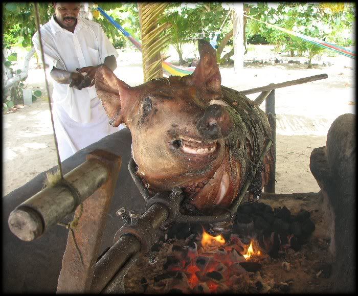 Pig Roast for Obama