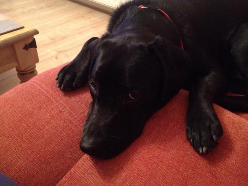 Sulking_zps2d867c9d.jpg