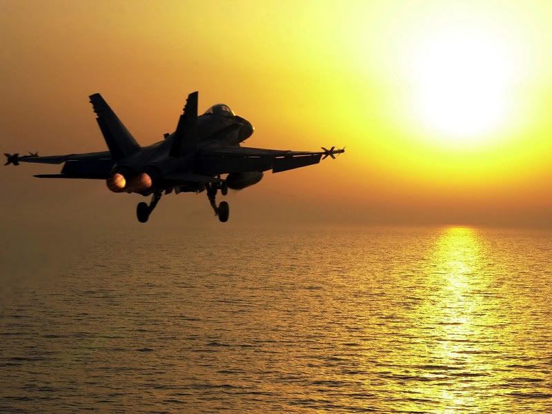 F-18 Hornet Pictures, Images and Photos