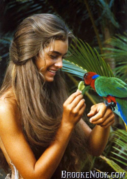 Brooke Shields The Blue Lagoon stranded on a deserted island with no 