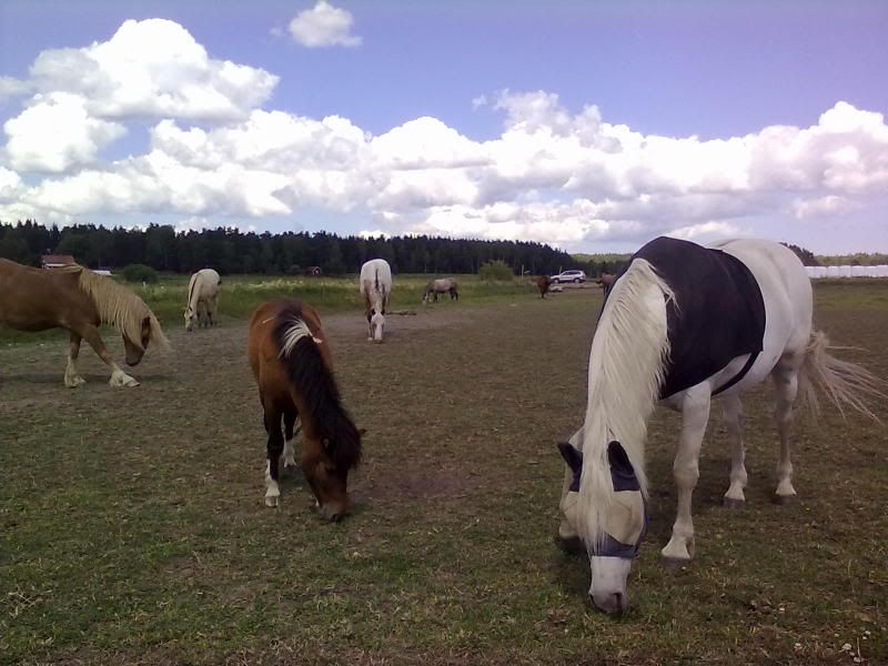 20100707118.jpg