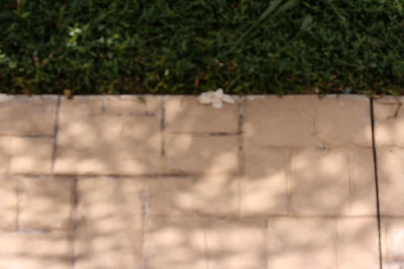 IMAGE: http://i31.photobucket.com/albums/c358/vectorcafe/WALK.jpg