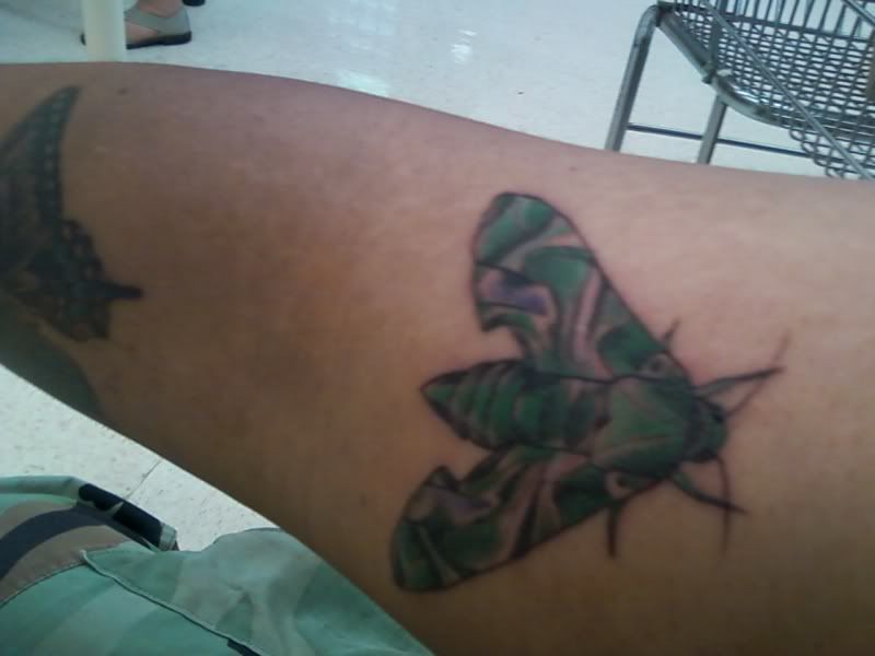 Tattoos - Commercials I Hate! - Page 2