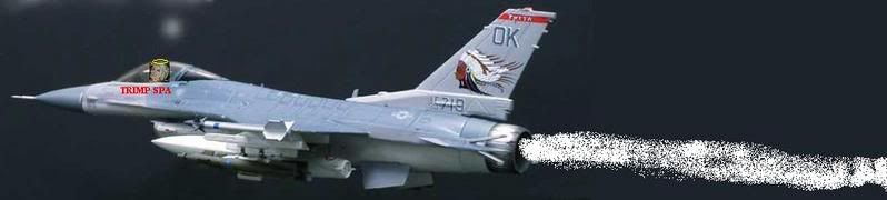 F16.jpg