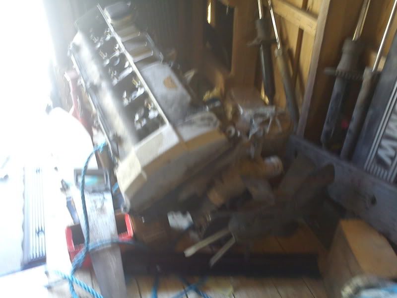 DSC00011.jpg