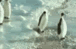 image011.gif