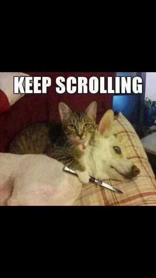  photo keepscrolling.jpg