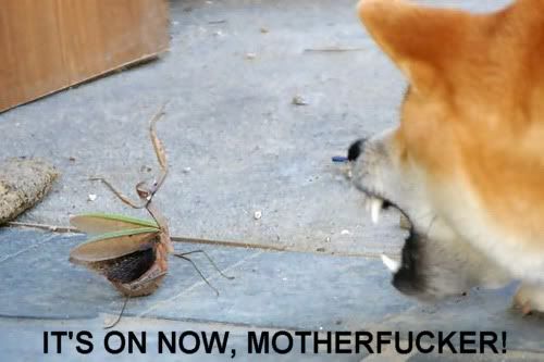 [Image: InternetExplorerWallpaper.jpg]