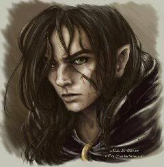 elven ranger Pictures, Images and Photos