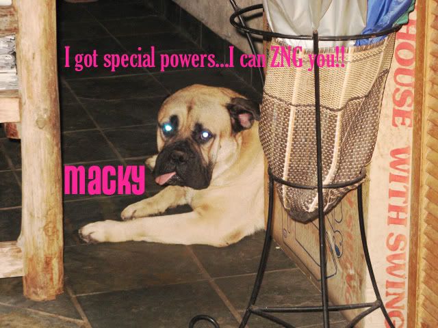 Photobucket - Video and Image Hosting