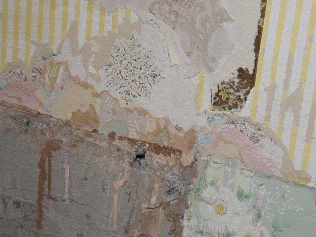 To Whom it May Concern - Homesteading Questions