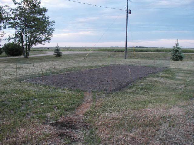 help - Homesteading Questions