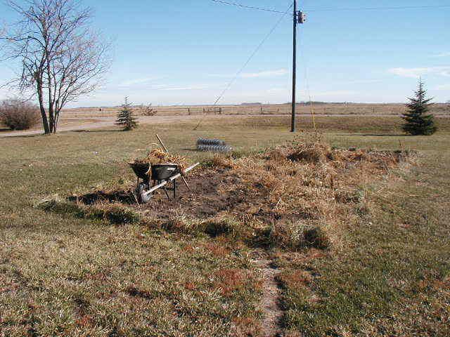 Rear Tine Tiller Reviews: What is your Experience? - Homesteading Questions