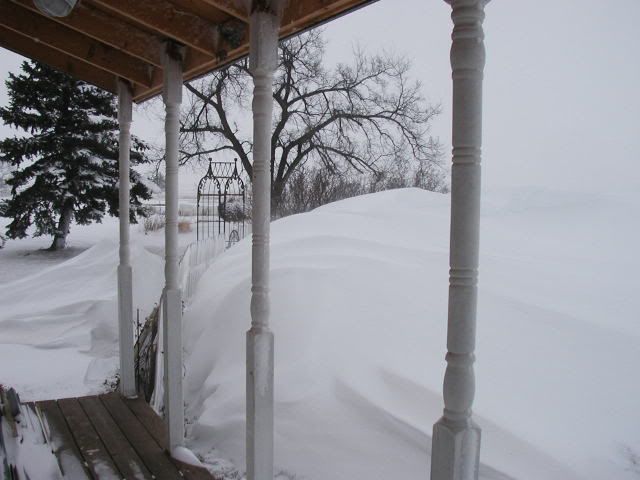 Blizzard pics - Homesteading Questions