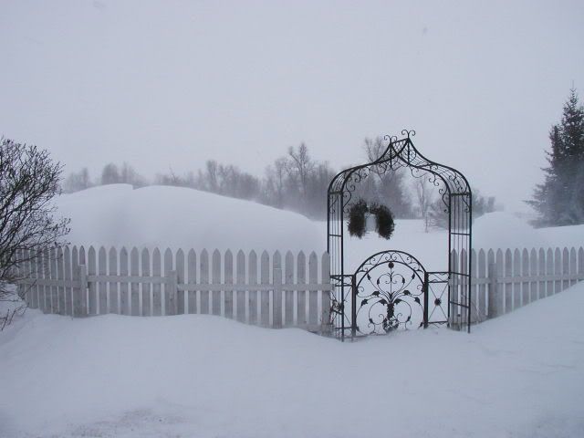 Blizzard pics - Homesteading Questions