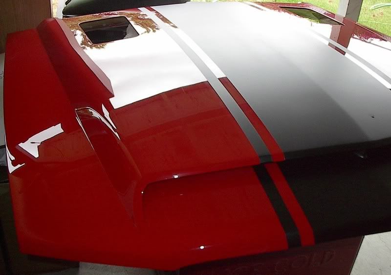 shelbyhood0652.jpg