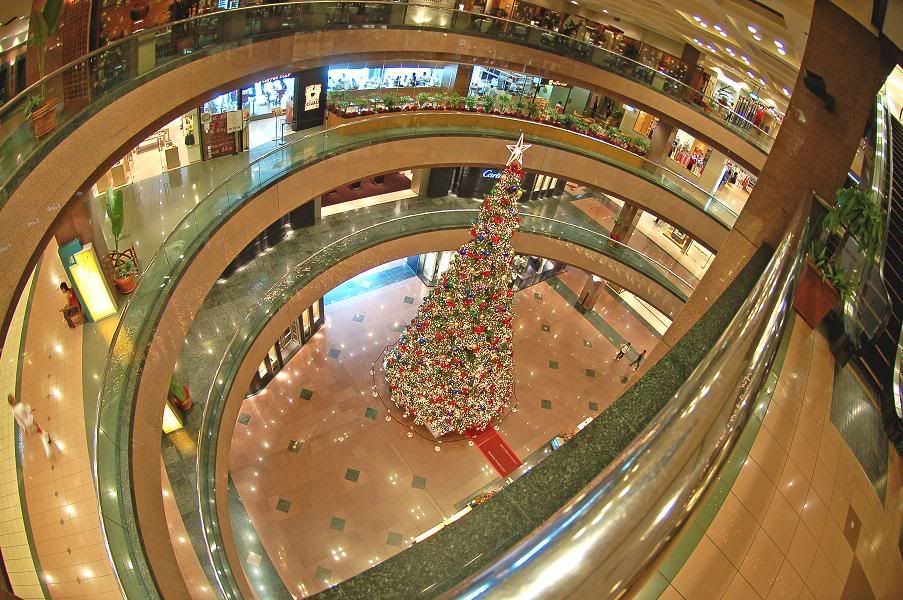 fisheye photo: Fisheye topdown.jpg