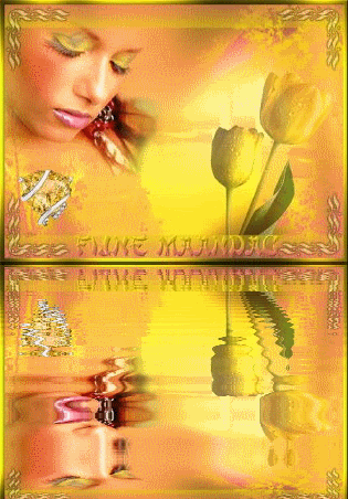 maandag Pictures, Images and Photos