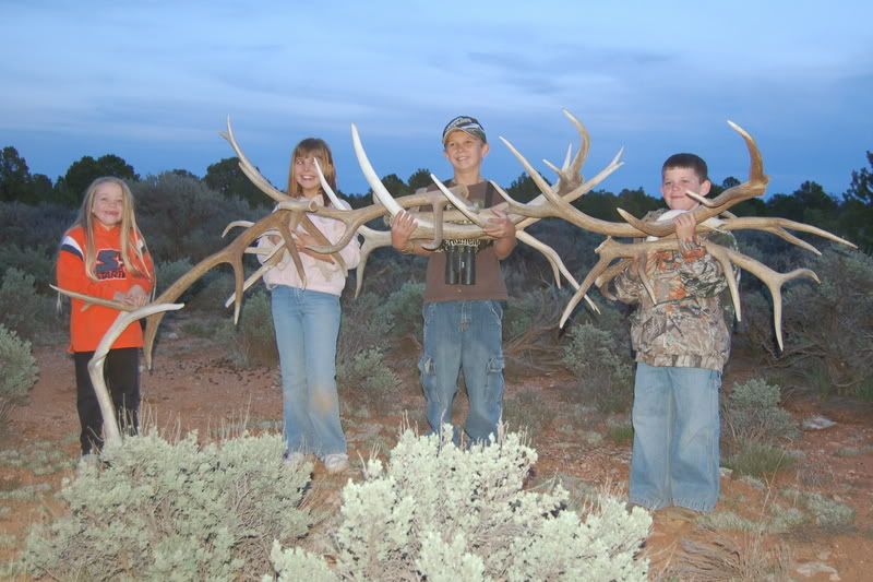 07shedhunt7.jpg