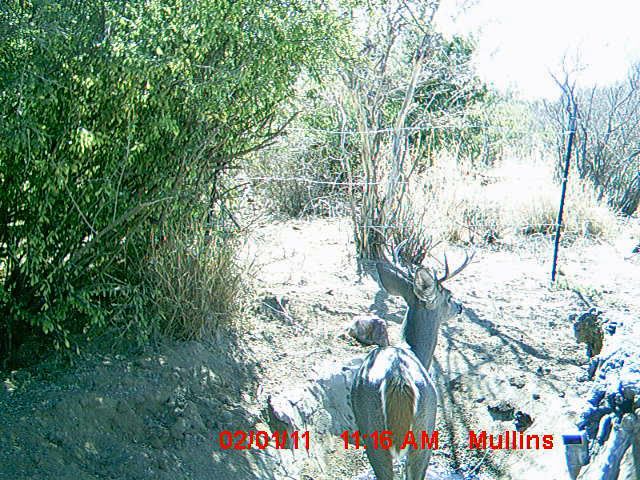 2010-11MexTrailcam2001.jpg