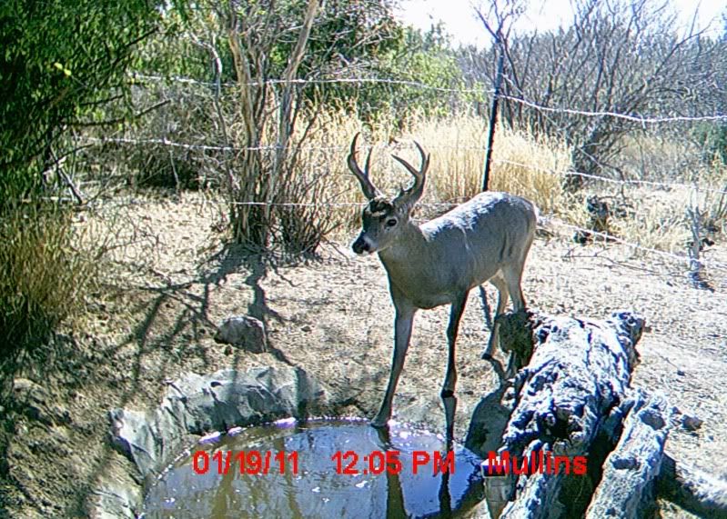 2010-11Mextrailcam001.jpg