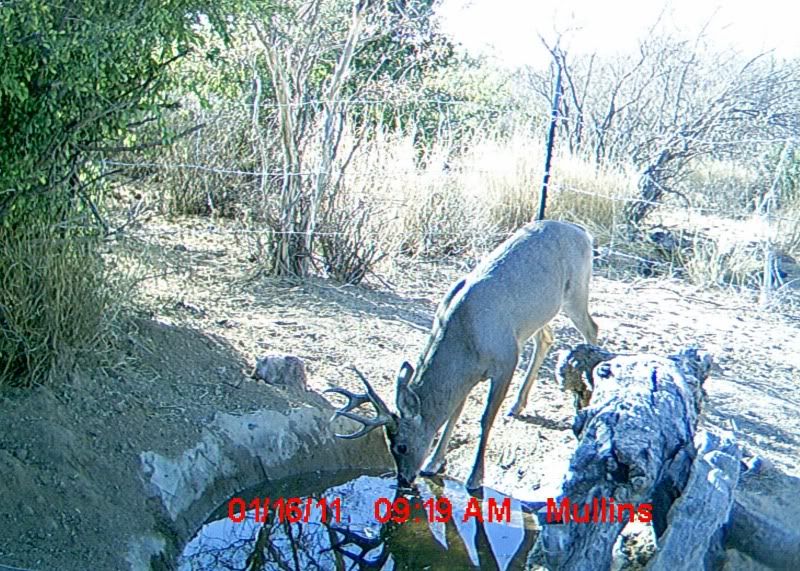 2010-11Mextrailcam002.jpg