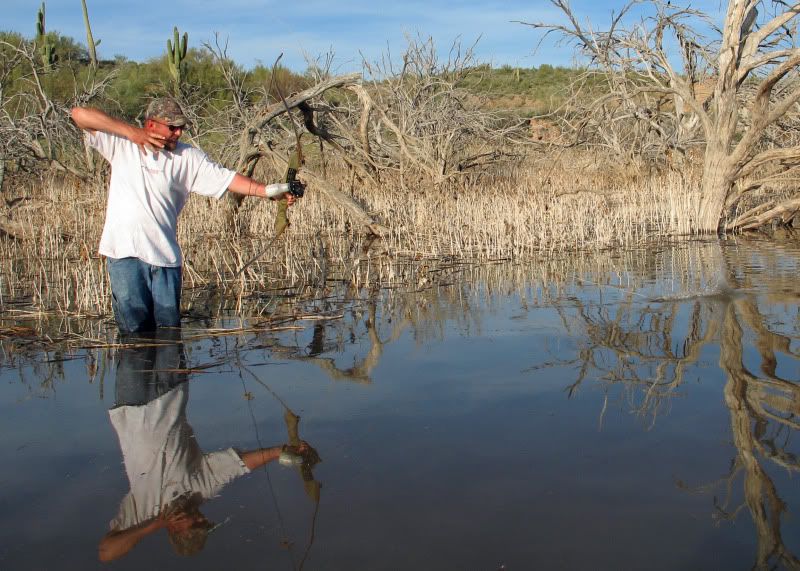 Bowfish03-01-09-1.jpg