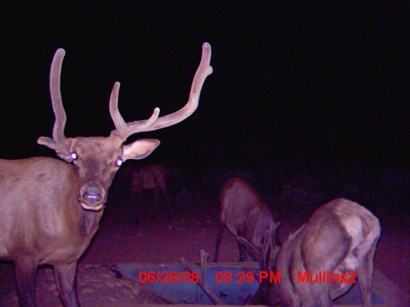 Trailcam7-8SPT21.jpg