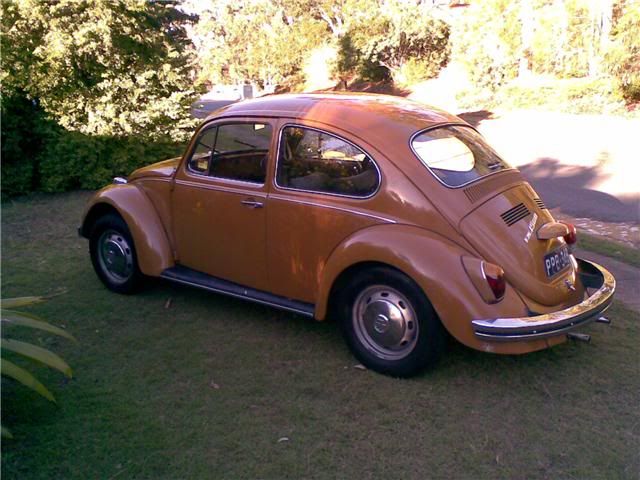 http://i31.photobucket.com/albums/c366/66glook/Beetle1.jpg