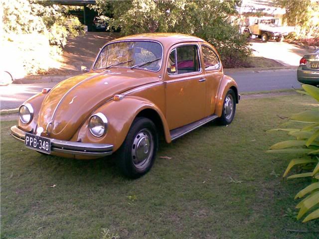 http://i31.photobucket.com/albums/c366/66glook/Beetle3.jpg