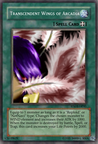 TranscendentWingsofArcadia_EquipSpe.png