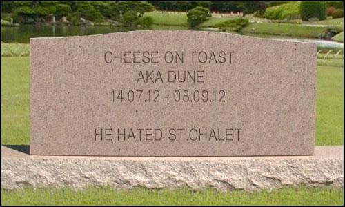 tombstone.jpg