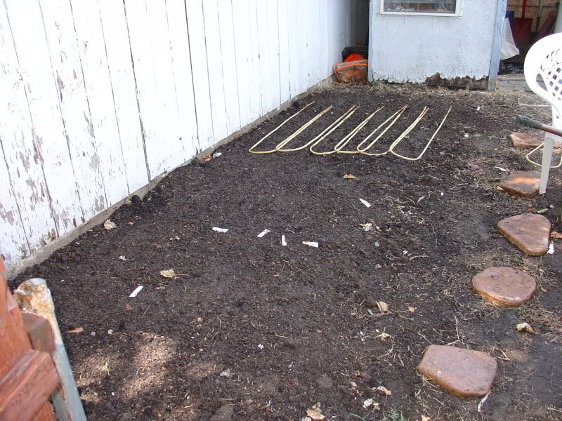 root veg bed