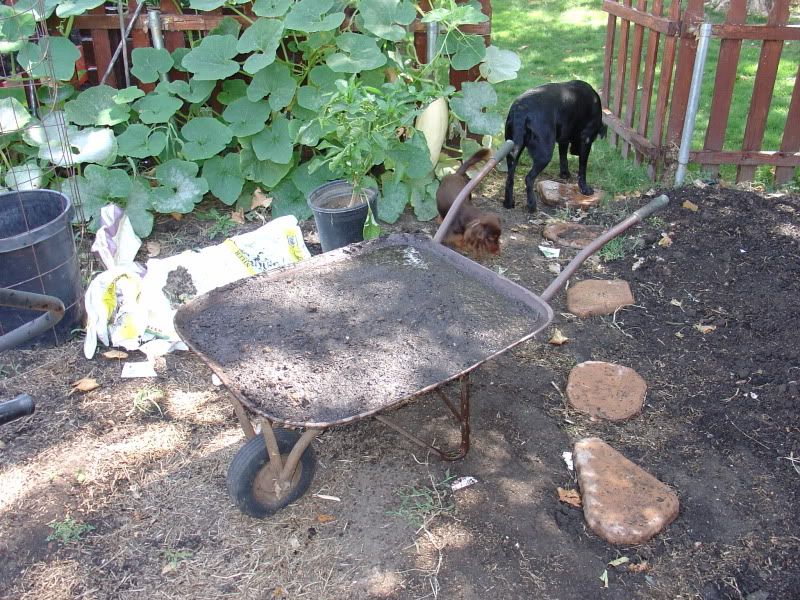 portable lettuce bed